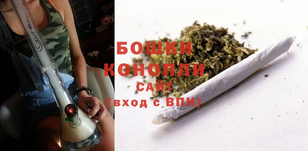 кокс Дмитриев