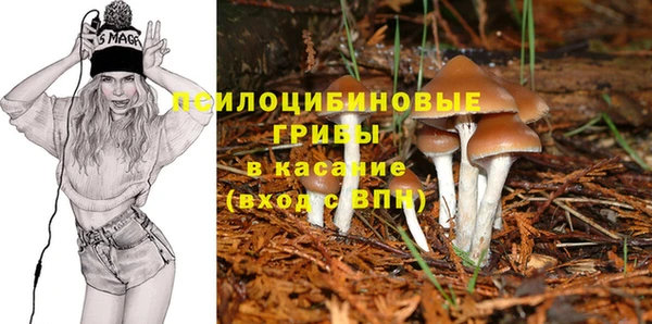 прущая мука Ельня
