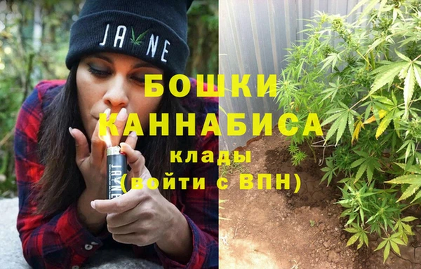 прущая мука Ельня