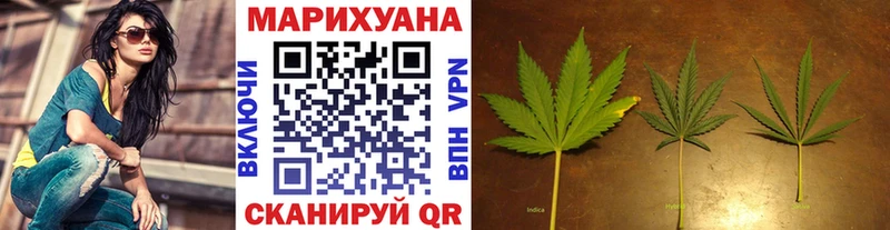 Купить где  Стрежевой  Марихуана OG Kush 